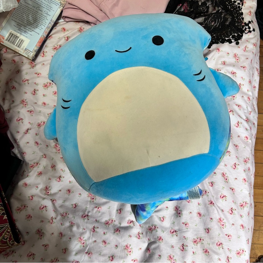 blue and white shark squishmallow